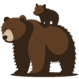 A baby brown bear standing on the back of an adult brown bear.